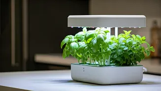 Grow Fresh Cooking Herbs Indoors Using Hydroponic Micro Gardening Kits