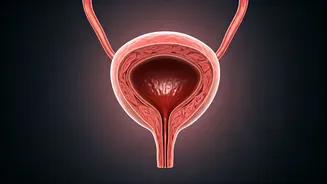 Diabetes and Bladder Health: A Hidden Connection