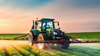 Cropland Health Should Be Tracked Alongside Output and Input Use