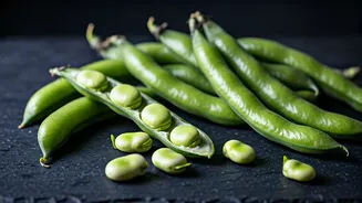 Fava Beans Are Having Their Quiet Food Moment