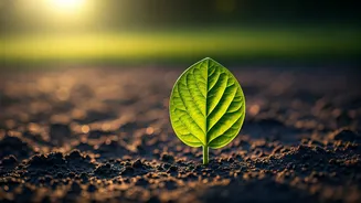 Sustainable Travel Starts With One Choice
