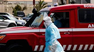 This Week in Explainers: Why hantavirus outbreak won’t cause the next pandemic
