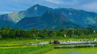 Foreign tourist arrivals in India dip in 2025 despite cheaper rupee