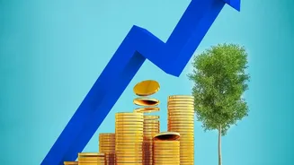How To Leverage Compounding By Allocating ₹500 Weekly To Auto-SIP Index Funds Early