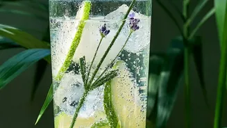 Stay Fluid-Balanced Naturally With Easy Botanical Drinks Designed For Modern Lifestyle
