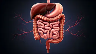 Late-Night Eating: A Gut Wrenching Habit Linked to Stress, New Study Reveals