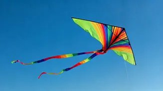 Makar Sankranti 2026: Traditions, Significance, and Celebrations!