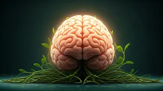 Hyderabad Neurologist: Ditch Crash Diets, Embrace Sustainable Weight Loss for True Health