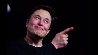 ‘Smart Humans Figure It Out Fast’: Elon Musk Says SpaceX Will Hire Engineers With ‘Zero AI Experience’