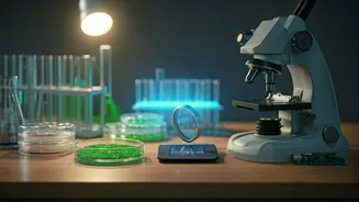 Science Projects Need People Like You
