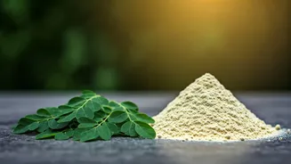 Related Stories banner