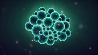 Unlock Your Healthiest Self: Expert Insights and Trends in Wellness