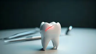 7 Harmful Oral Habits Revealed by a US Dentist: Protect Your Smile Today!