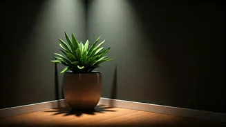 This Planter Can Upgrade Boring Corners Fast