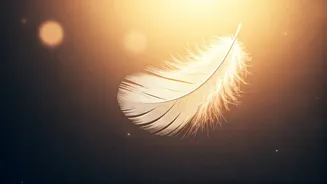 Sister Shivani's Wisdom: Forgiveness for Moms - Your Path to Inner Peace and Healing