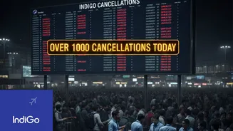 Rs 16000 CRORE Loss! Indigo Shares Price Slash 3% After Over A 1000 Cancellations In Just 1 Day