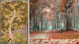 Kashmir's Chinar Trees Now Have Aadhaar