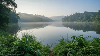 What Ancient Pollen Beneath a Chhattisgarh Lake Means for Science Readers