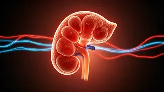 Unpacking Blood Glucose: When Does Damage Start, and What Do the Numbers Mean?