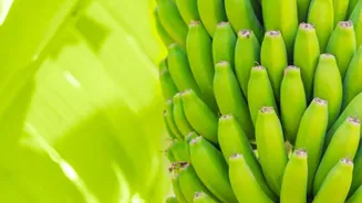 5 classic recipes featuring green bananas