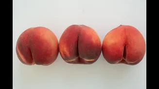 Um lado do bumbum maior? Hábitos diários explicam a assimetria