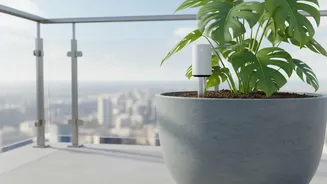 Balcony Plant Parents Use IoT Soil Moisture Probes To Prevent Overwatering Plants