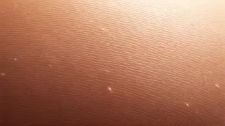 Open vs. Closed Pores: Your Simple Guide to Identifying and Managing Them at Home