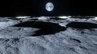 NASA Finds Lunar Conditions Could Preserve Dormant Microbes Without Supporting Reproduction