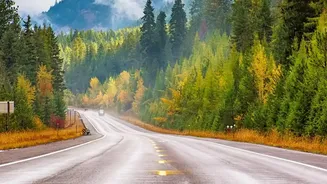 Road Trip In The Rains? Check These Conditions Before Leaving Home