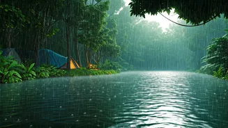Nature Lovers Are Choosing These Rainy Campsites