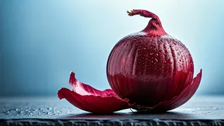 India's Heatwave: Unpacking the Onion Myth for Cooling Relief