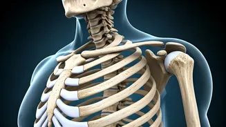 Is Your Calcium Low? 10 Signs to Watch Out For