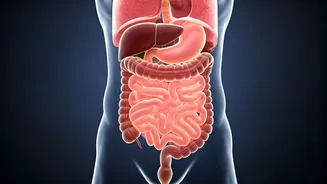 60-Day Junk Food Detox: Your Body's Incredible Transformation Revealed