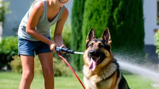Why Regular Grooming Matters More For Pets During Humid Weather