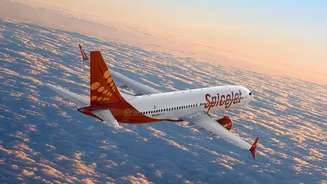 SpiceJet delays pilot salaries since March, seeks emergency government loan