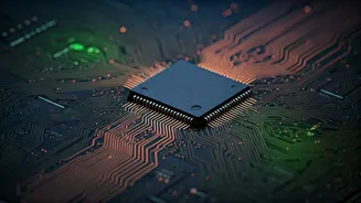 Navigating Website Security: Understanding Bot Verification and Your Online Safety