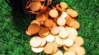 Gold Mutual Funds vs Sovereign Gold Bonds: Which Financial Asset Better Fits Emergency Needs