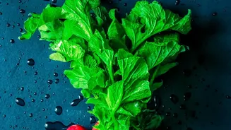 Pink Radish Recipes: A Bright Vegetable for Everyday Vegetarian Meals