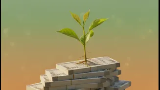SIP में ₹1000 से शुरुआत, ट्रिपल-10 रूल करेगा कमाल