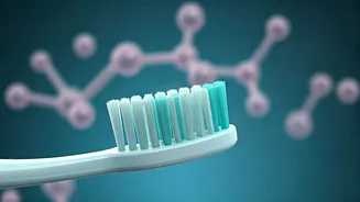 Related Stories banner