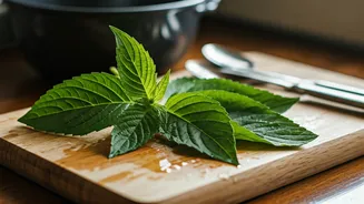 Fresh Twist: Ways to Use African Carpetweed