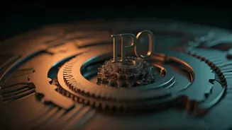 IPO Market: Navigating Risks for Indian Investors