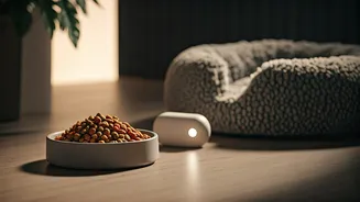 Billion Dollar Pet Industry Focuses Heavily On Cat Wellness