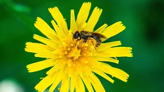 The New Chhattisgarh Pollen Study Leaves Science Readers with One Main Check: Lake Sediments