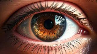 Essential Eye Care: Simple Steps for Lasting Vision