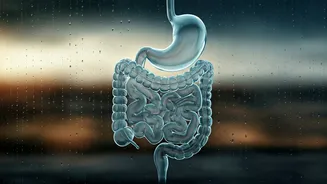 Digestion Trouble Makes Rainy Eating More Serious