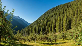 Harsil Valley Is India’s Hidden Himalayan Soft Spot