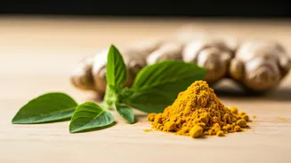 Simple Ingredients, Powerful Monsoon Wellness Boost