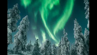 Step Into The Magic Of Rovaniemi, Santa’s Arctic Hometown