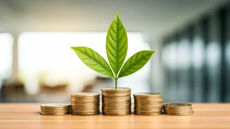 Investing? This Beginner's Guide Can Help.